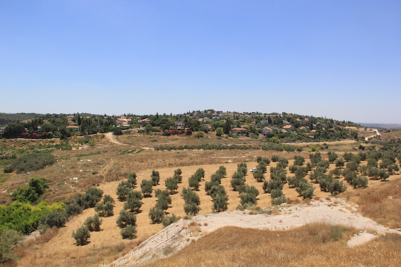 Tel Gezer landscape travel photography view Israel