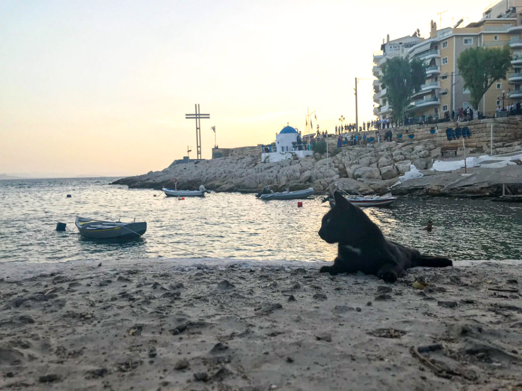 Piraeus Port, Athens, Greece cat travel photography