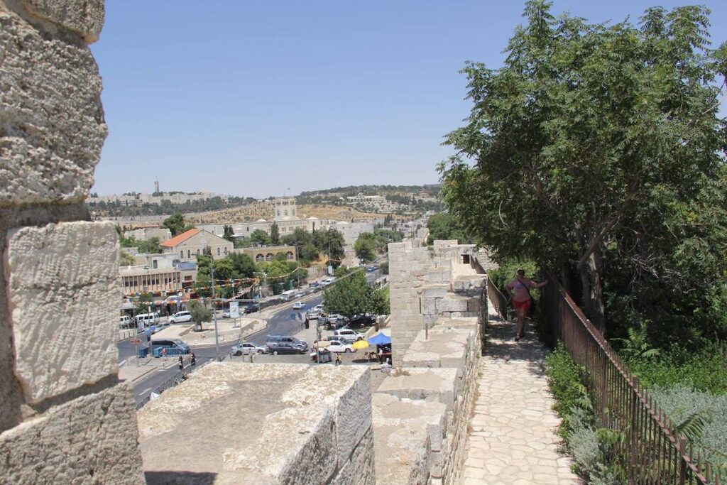 Jerusalem Ramparts view with tree