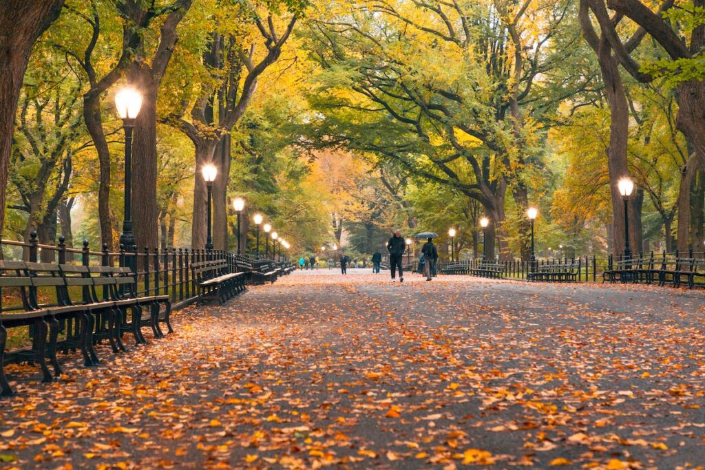 The Central Park Mall in NYC with fall leaves