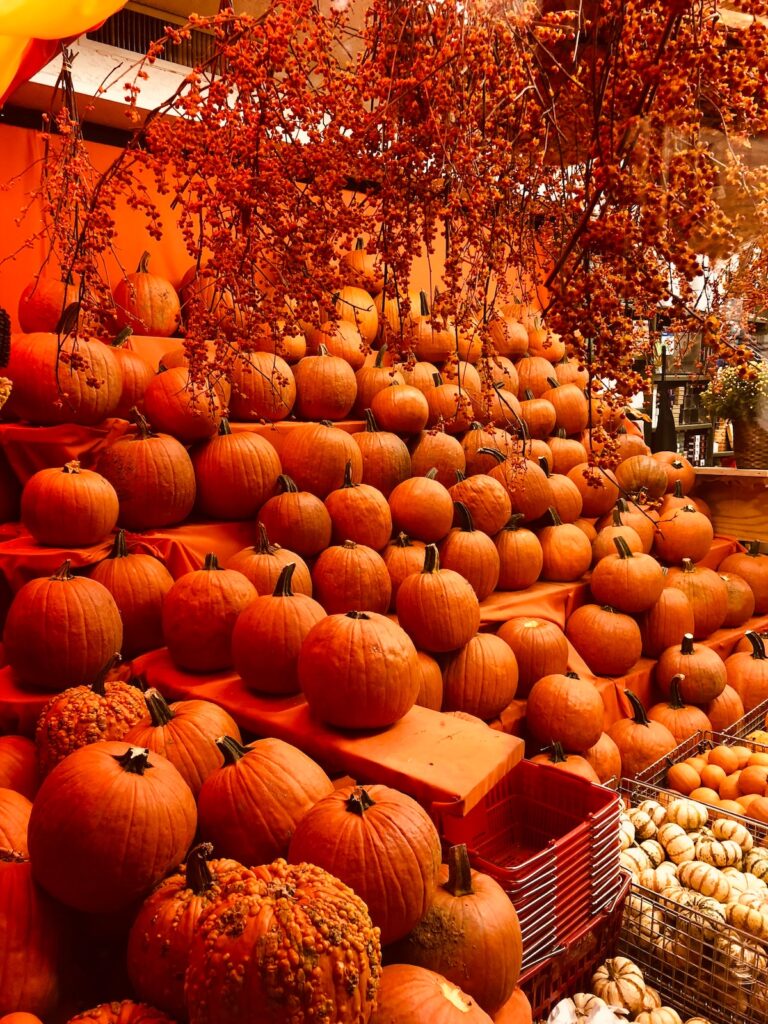 New York Fall pumpkin display
