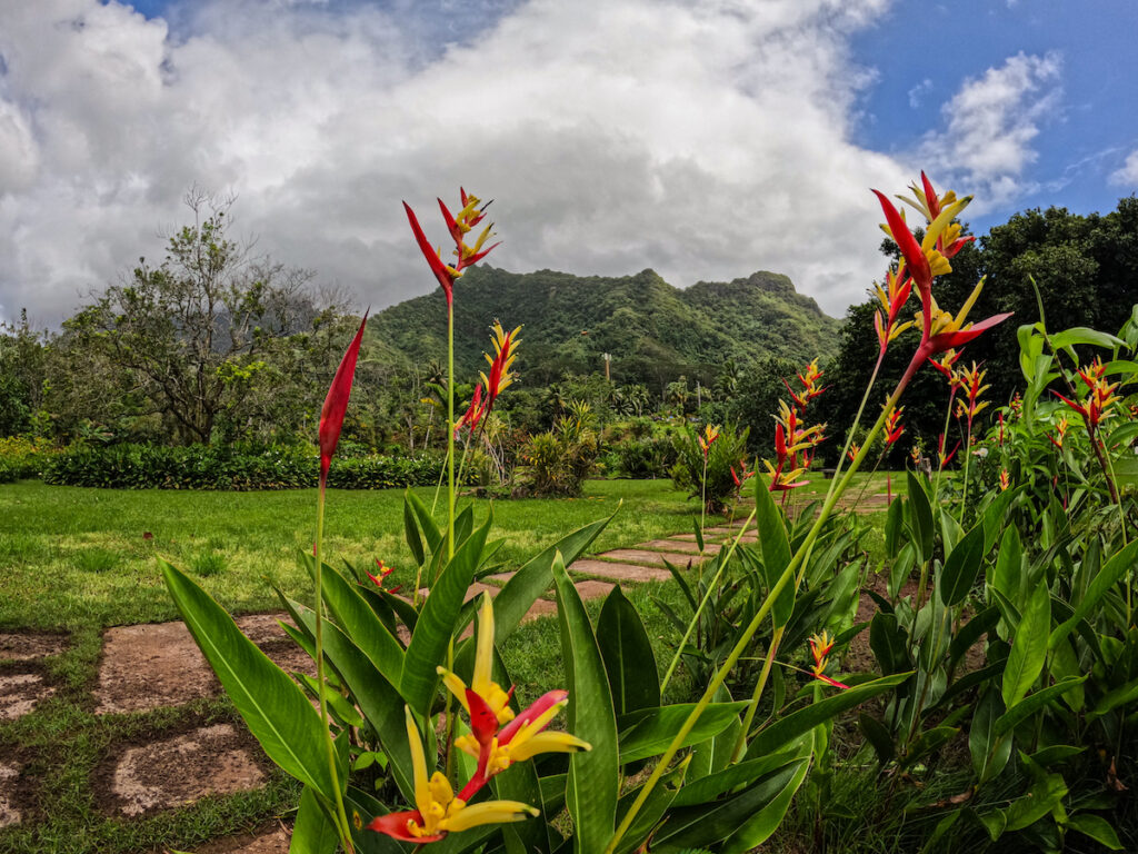 A photo I took with my GoPro while traveling in French Polynesia