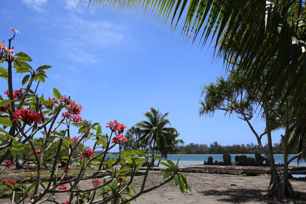 Huahine archaeology (Maeva Marae Complex) and pink flowers by the water