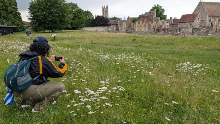 Sarah taking a phone photo of St. Augustine's Abbey in Canterbury, England, from a green field with daisies